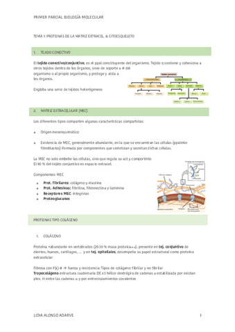 PRIMER-PARCIAL-BIOLOGIA-MOLECULAR-2022-2023.pdf