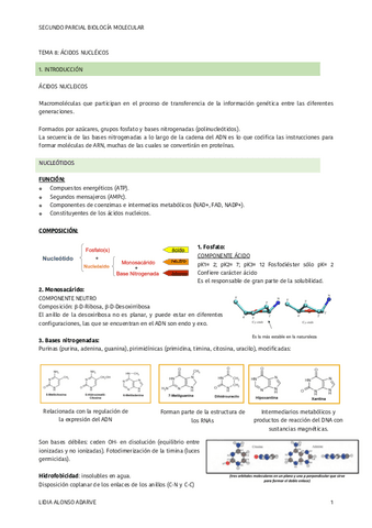 SEGUNDO-PARCIAL-BIOLOGIA-MOLECULAR-2022-2023.pdf