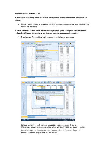 ANALISIS-DE-DATOS-explicacion-PASO-A-PASO-con-ejemplo.pdf