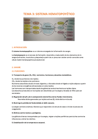 TEMA-3-FISIOLOGIA.pdf
