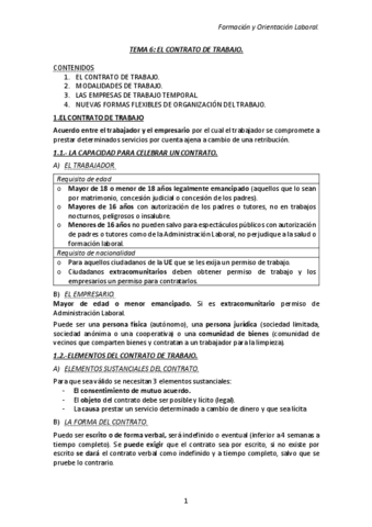 TEMA-6-FOL.pdf