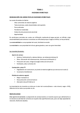 TEMA-1.pdf