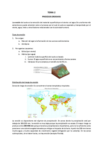 TEMA-2.pdf