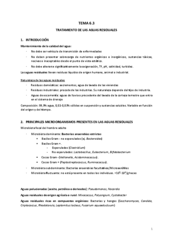 TEMA-6.3.pdf