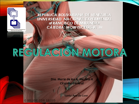 REGULACIÓN MOTORA.pdf