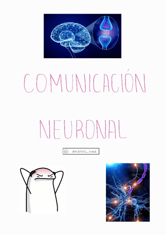 Comunicacion-neuronal-apunteskine.pdf