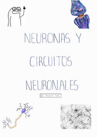 Neuronas-apunteskine.pdf