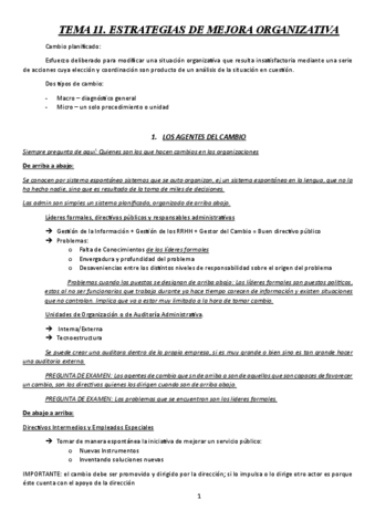 TEMA-11-TMGP.pdf