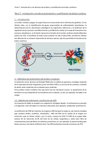 Tema 7.pdf