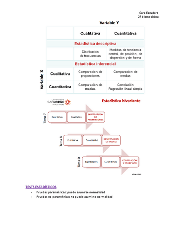Resumen-tests-estadisticos.pdf