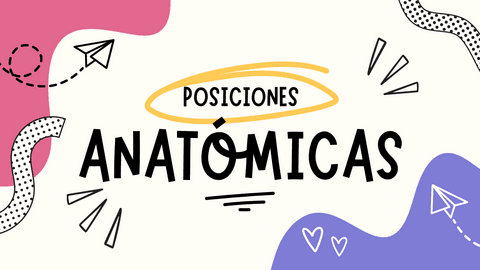Posiciones Anatómicas.pdf.pdf