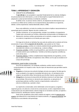 TEMA 1.pdf