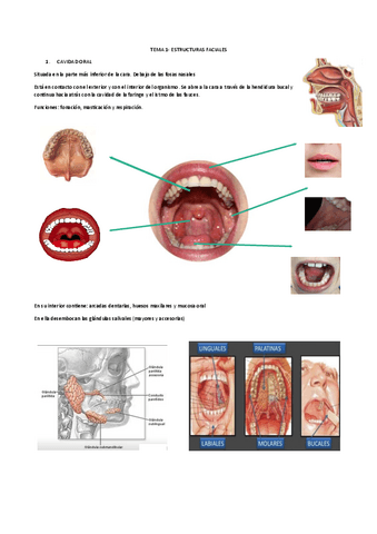 CLINICA-IMP-1.pdf