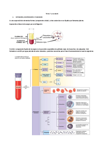 FISIOLOGIA-2.pdf