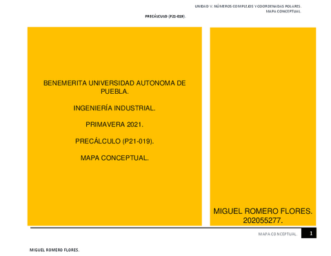 MAPA-CONCEPTUAL.pdf