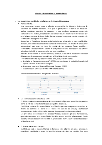 TEMA 5-ECON UE.pdf