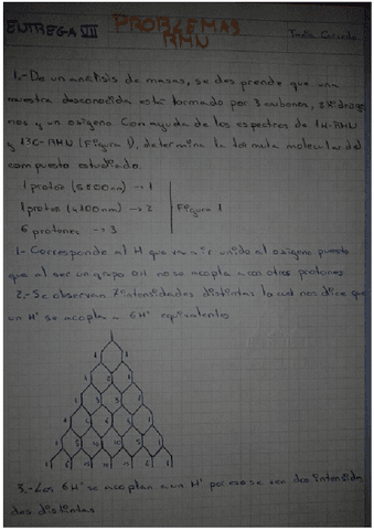Entrega-VII-Problemas-RMN.pdf