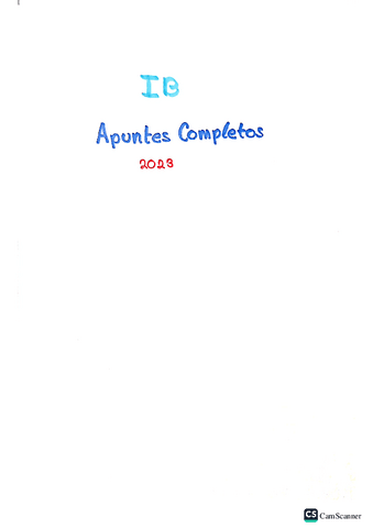 ✅⚠️APUNTES COMPLETOS TEORÍA✅⚠️INFORMÁTICA BÁSICA.pdf