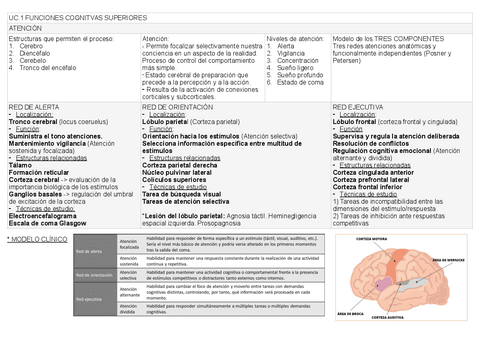 Psicofisiologia-examen.pdf