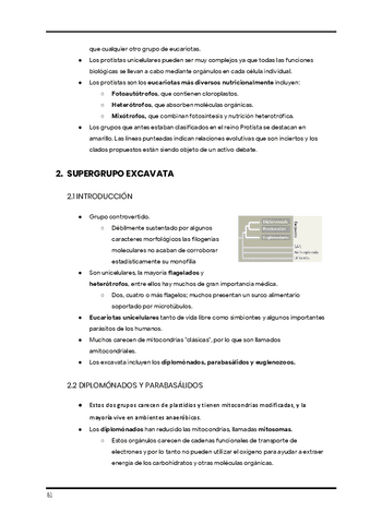Apuntes-de-clase.-Diversidad-1er-cuatri-16.pdf