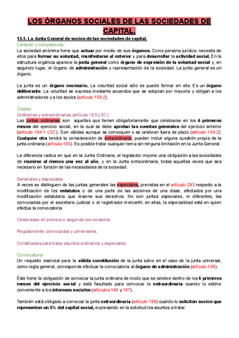 TEMA-13.pdf