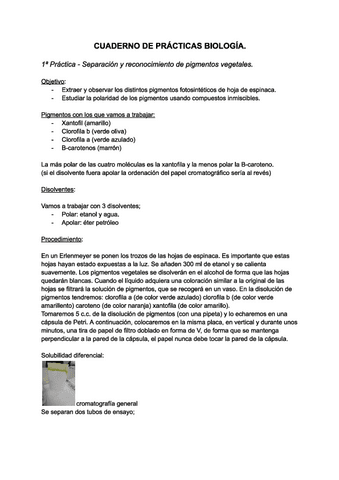 Cuaderno-de-practicas-biologia-1-cuatri.pdf