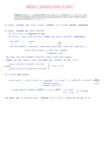 Practiques-Hilbert-resueltas.pdf