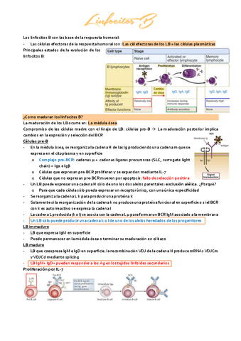 tema-3.6-inmunologia.pdf