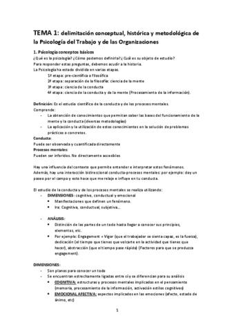 Psicología apuntes completos.pdf