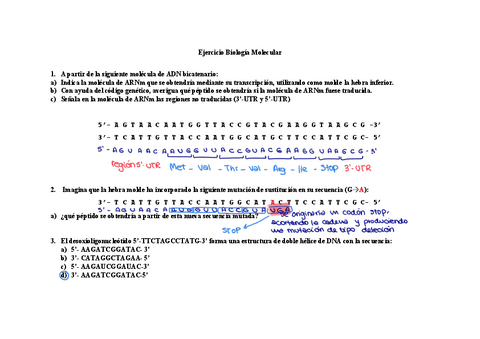 Ejercicio-BM-ultima-clase.pdf