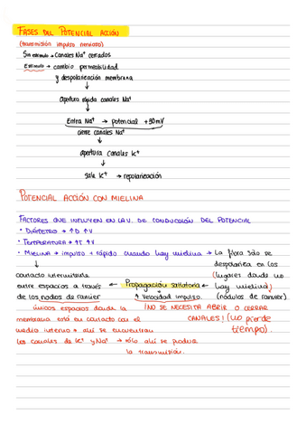 Procedimientos-esquema.pdf