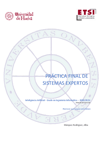 PRACTICA-FINAL-IA.pdf