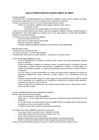 Tema-4-PRODUCCION-DE-PLANTAS-LIBRES-DE-VIRUS.pdf