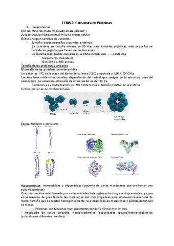 TEMA-2.pdf