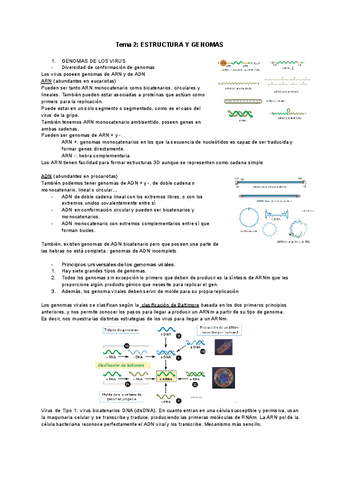 TEMA-2.pdf