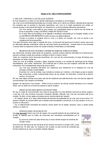 Tema-3-EL-CICLO-REPLICATIVO.pdf