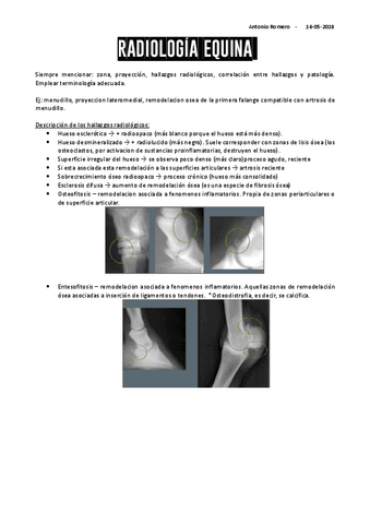 Seminario-Equidos-RX.pdf