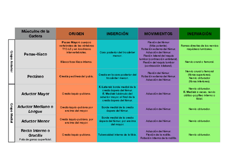 RESUMEN-MUSCULOS-MIEMBRO-INFERIOR.pdf