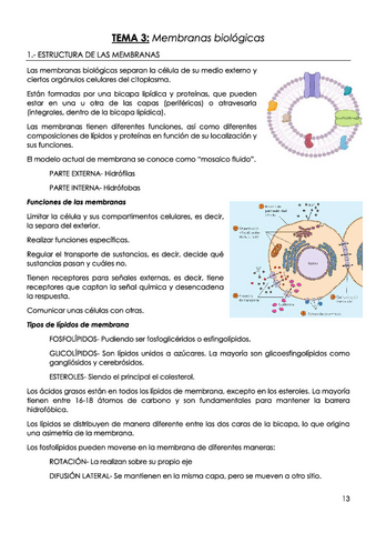 TEMA-3-Membranas-biologicas.pdf