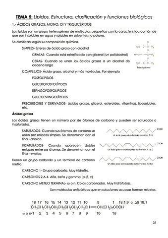 TEMA-5-Lipidos.pdf