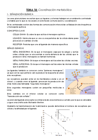TEMA-18-Coordinacion-metabolica.pdf