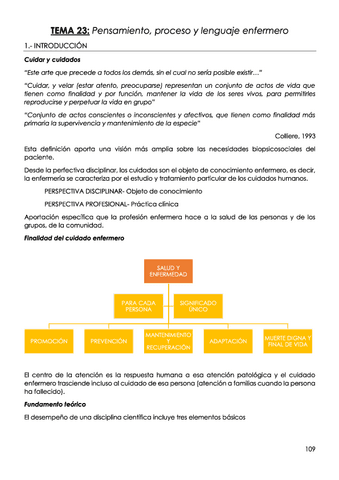 TEMA-23-Pensamiento-proceso-y-lenguaje-enfermero.pdf