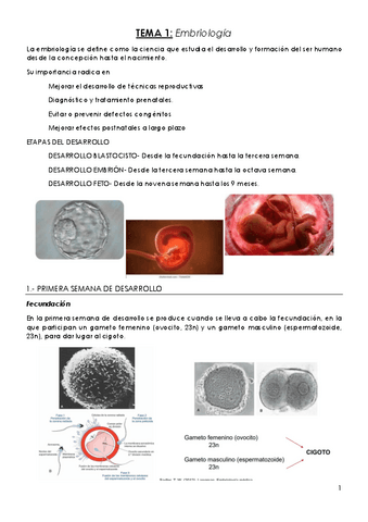 TEMA-1-Embriologia.pdf