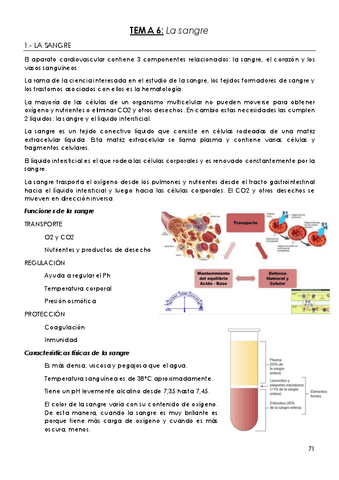TEMA-6-La-sangre.pdf