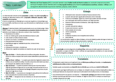 Ficha-TUNEL-CARPEANO.pdf