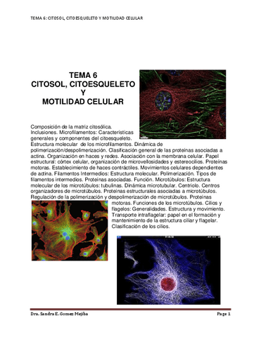 6-citoesqueleto-teoria.pdf