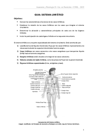 Sistema-linfatico-2019.pdf