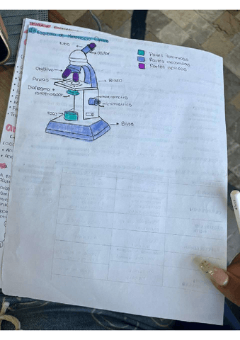 MICROSCOPIO.pdf