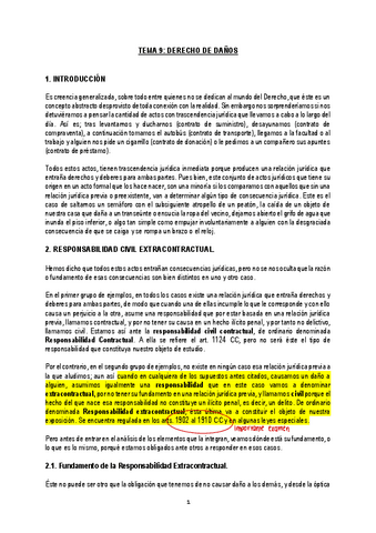 TEMA-9-DERECHO-DE-DANOS.pdf