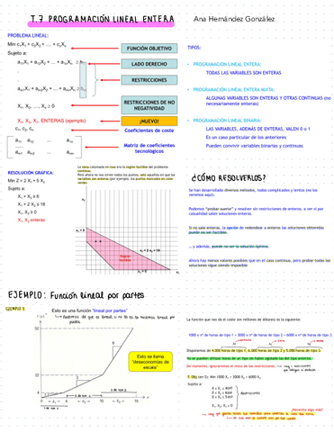 T7.-PROGRAMACION-LINEAL-ENTERA.pdf